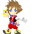 sora